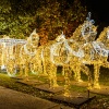 1 napra ingyenes a Luminapark a gyerekeknek!