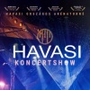 Havasi koncert 2022-ben Debrecenben a Főnix Arénában - Jegyek itt!