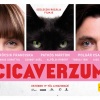 INGYEN lesz látható a Cicaverzum Budapesten!