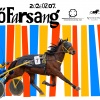Ingyenes programokkal is vár a Kincsem Parkban az Ügetőfarsang!