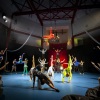 Nyárindító Cirkusz Show Szarvason a Vízi Színpadon - Jegyek itt!