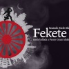 Parno Graszt dalaiból készült Fekete tyúk címmel zenés ballada - Jegyek és szereplők itt!