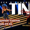 Simply The Best - TINA TURNER SHOW 2026-ban Győrben - Jegyek itt!