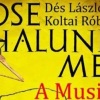Sose halunk meg musical Veszprémben a Hangvillában - Jegyek itt!