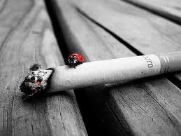 Beszélő cigarettás doboz segíthet a leszokásban!