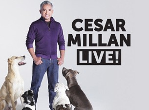 Cesar Millan Budapestre jön 2019-ben - Jegyek a Cesar Millan Aréna showra itt!