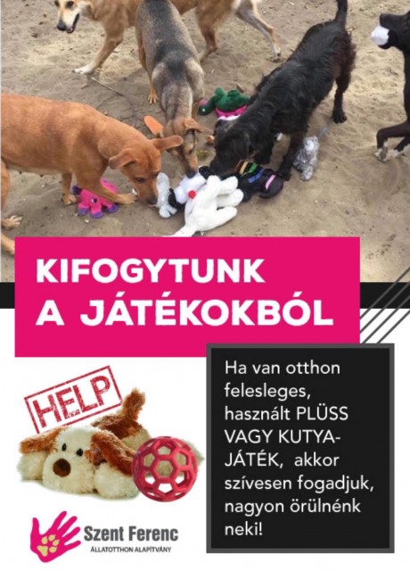 Használt plüss játékokat keresnek kutyusoknak!