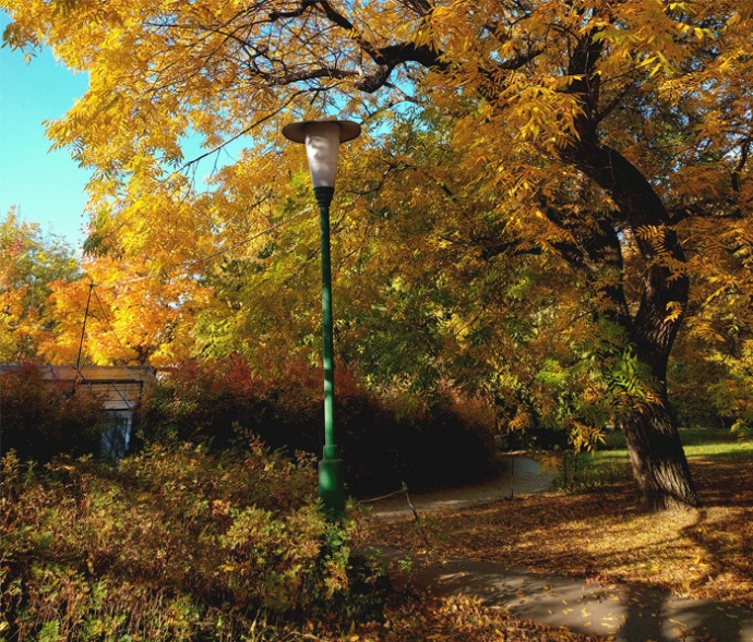 INGYENES arborétum Budapest szívében!