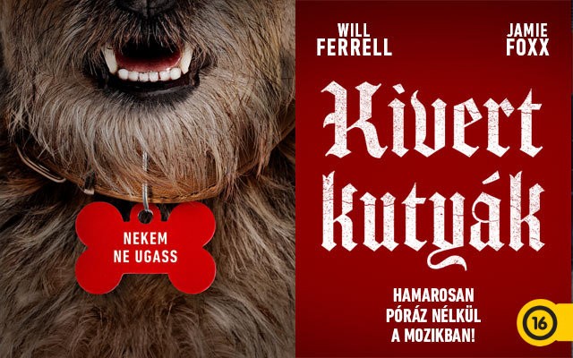 Kivert kutyák - Nézd meg premier előtt!