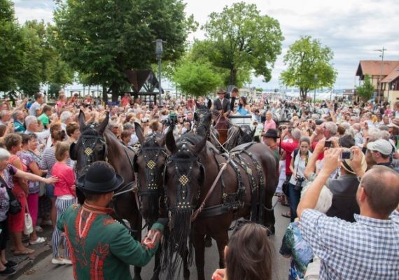 Lovaskocsikázás az Anna-bál estéjén az Anna-báli szépek fogatain - Jegyek itt!