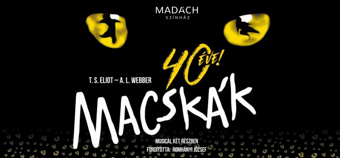 Macskák musical Szegeden a Pick Arénában - Jegyek a 2023-as szegedi előadásra itt4